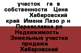 участок 4 га, в собственности › Цена ­ 220 000 - Хабаровский край, Имени Лазо р-н, Переяславка рп Недвижимость » Земельные участки продажа   . Хабаровский край